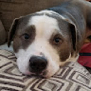 Meet your Posher, Rita